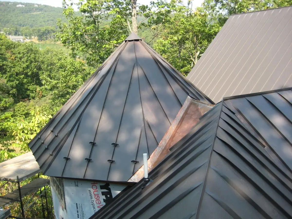 Professional Shingle Replacement & Repair by Craftsman Roofing in Arden Park Vista